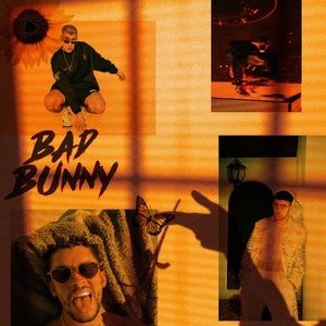 Meet your Posher, Janelle